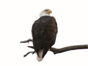 Squaw Creek National Wildlife Refuge