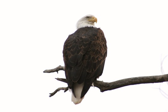 Squaw Creek National Wildlife Refuge