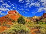 Zion National Park
