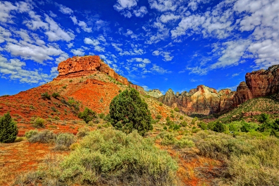 Zion National Park