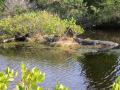 Merritt Island National Wildlife Refuge