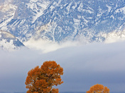 Grand Tetons