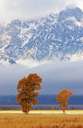 Grand Tetons