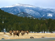 rocky mountain national park