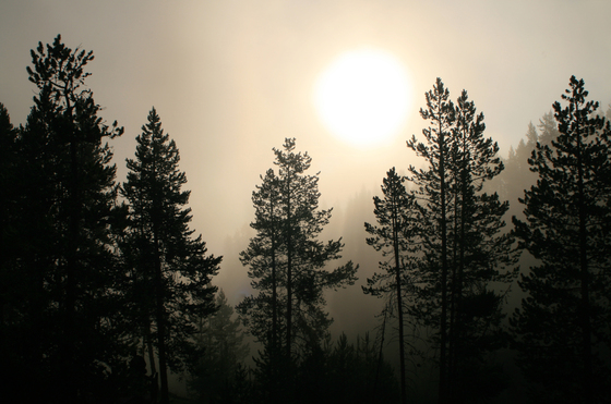 Yellowstone National Park