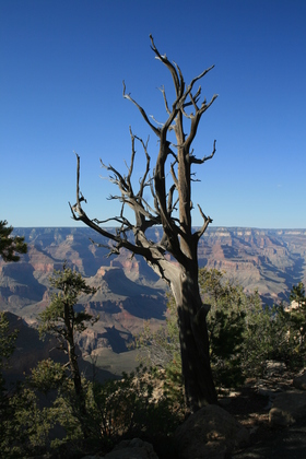 Grand Canyon