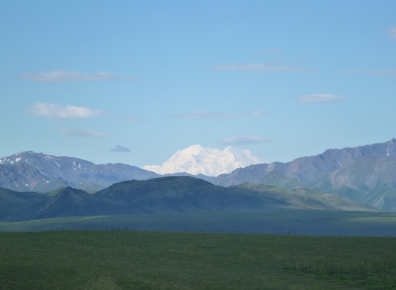 Denali National Park