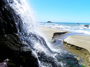 Point Reyes National Seashore