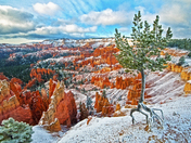 Bryce National Park