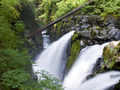 Olympic National Park