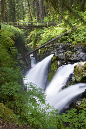 Olympic National Park