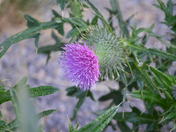 Bryce Canyon National Park