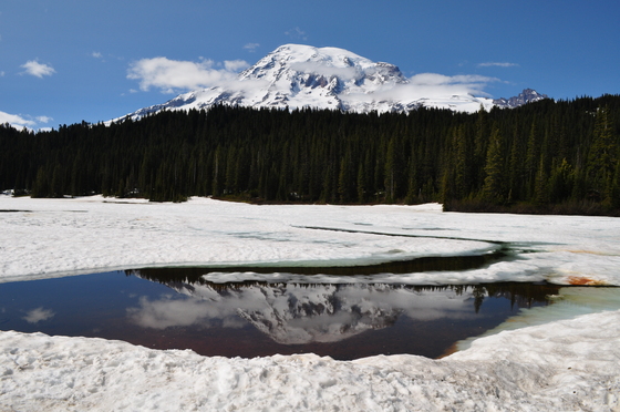 Mt. Rainier NP