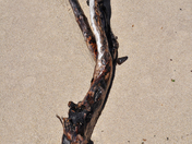 Pictured Rocks National Lakeshore