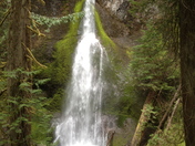 Olympic National Park