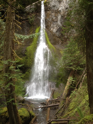 Olympic National Park