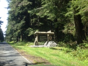 Olympic National Park