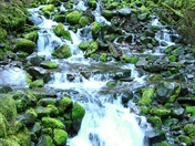 Olympic National Park