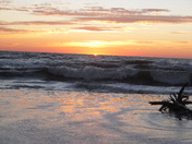 Back Bay National Wildlife Refuge