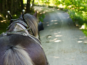 Acadia National Park