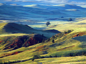 Wind Cave National Park