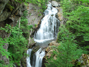 White Mountains National Forest