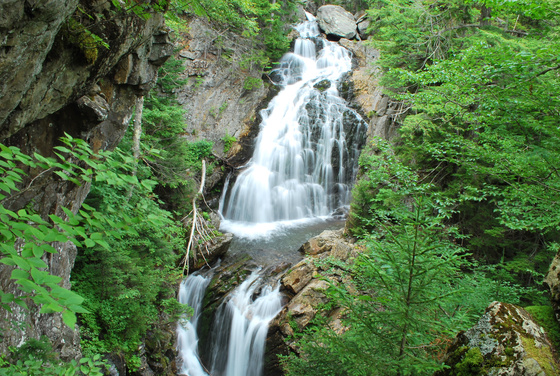 White Mountains National Forest