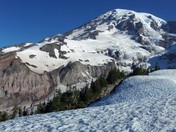 Mt. Rainier National Park