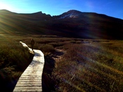 Pike National Forest