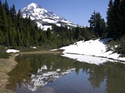 Mt Hood National Forest