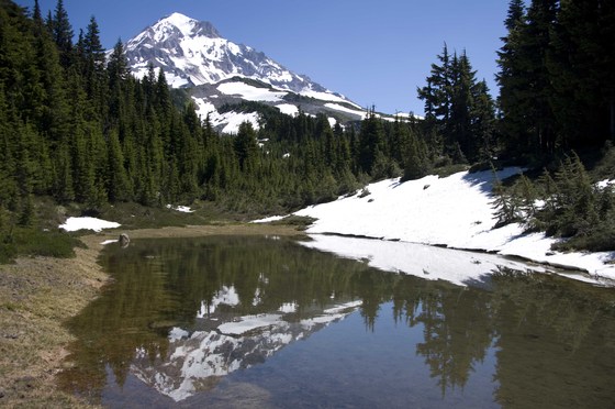 Mt Hood National Forest