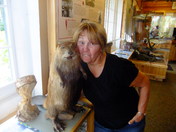 Superior National Forest