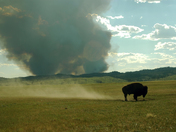Wind Cave National Park