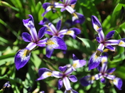 Acadia National Park