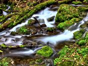 Caribou-Targhee National Forest