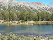 Yosemite National Park