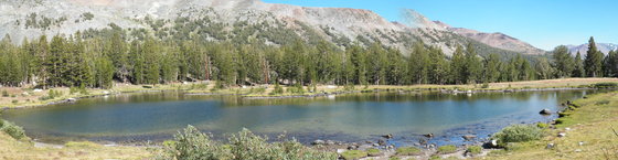 Yosemite National Park