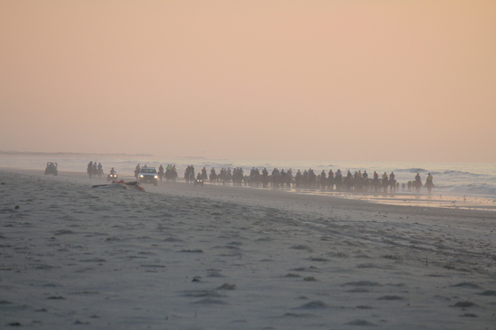 Assateague National Seashore