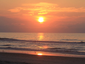 Assateague National Seashore