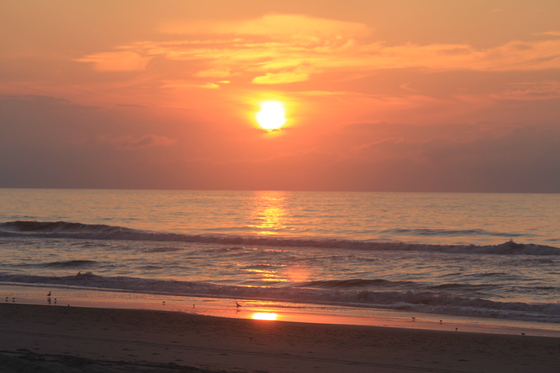 Assateague National Seashore