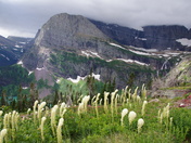 Glacier National Park