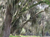 Fort Frederica National Monument