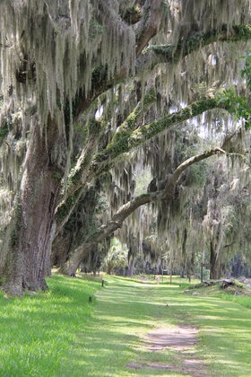 Fort Frederica National Monument