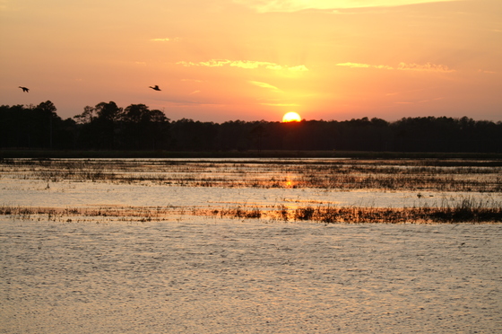 BLACKWATER NATIONAL WILDLIFE REFUGE
