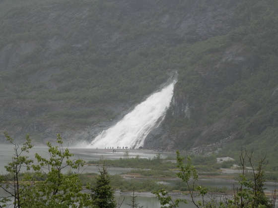 Tongass National Forrest