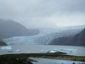 Tongass National Forrest