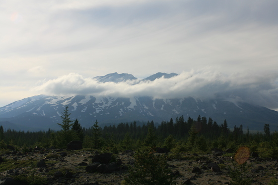 Mt St Helen's