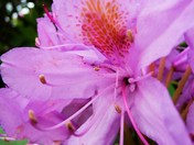 Olympic National Park