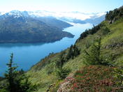 Chugach National Forest