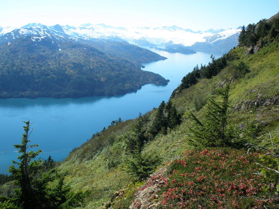 Chugach National Forest